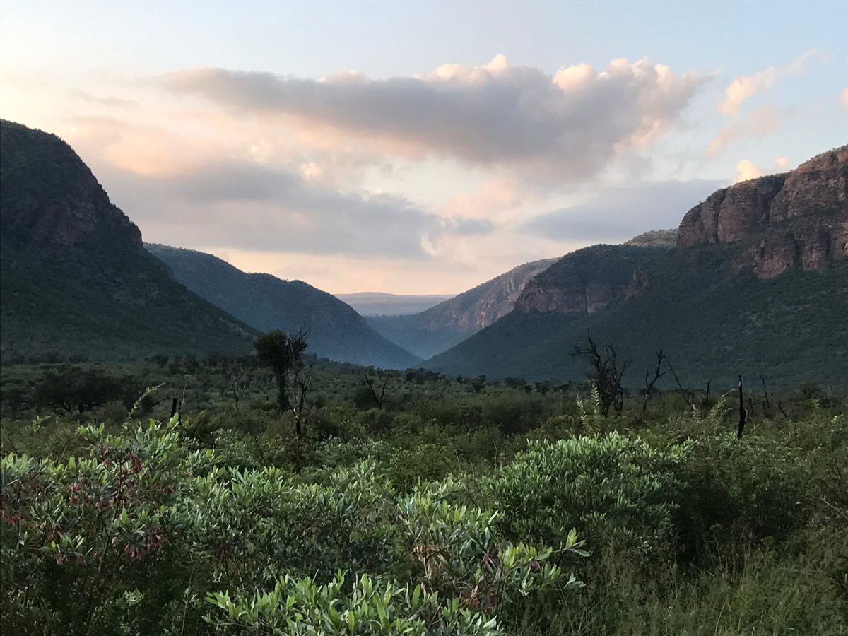 The Waterberg valley at dusk