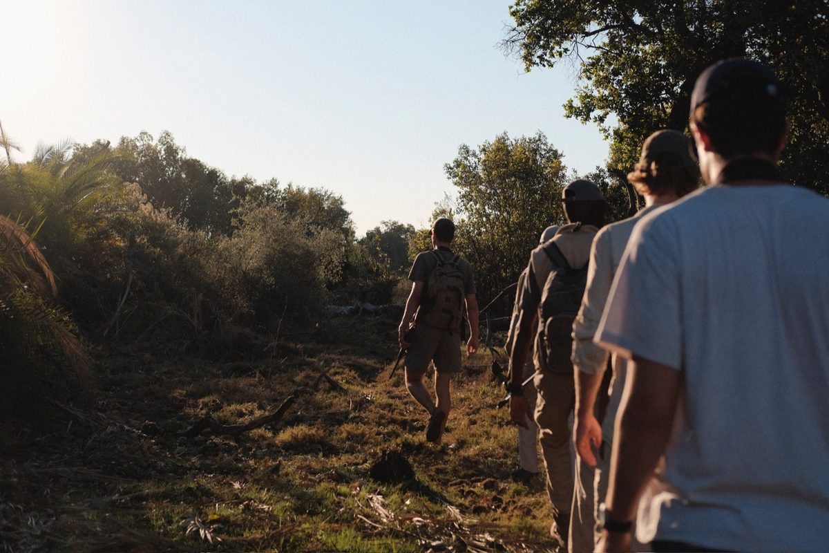 The group walking in single file through golden grass at dusk