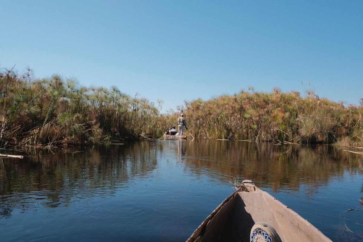 Deep in the papyrus channels, at water level