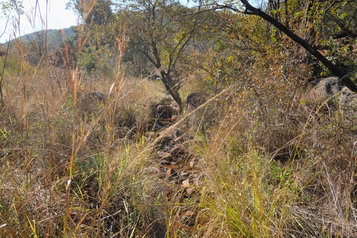 A mountain stream threading through the winter grass
