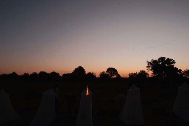 Sleepout under mosquito nets at dusk, Okavango Delta