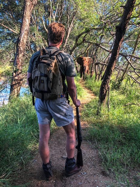 A trails guide on the path, an elephant ahead